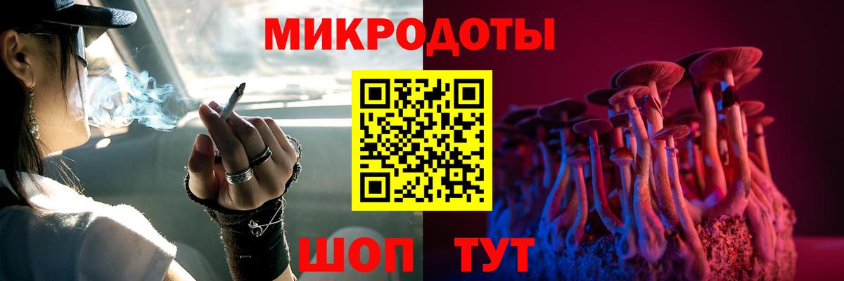 Псилоцибиновые грибы Psilocybine cubensis  Вход с VPN  Всеволожск 